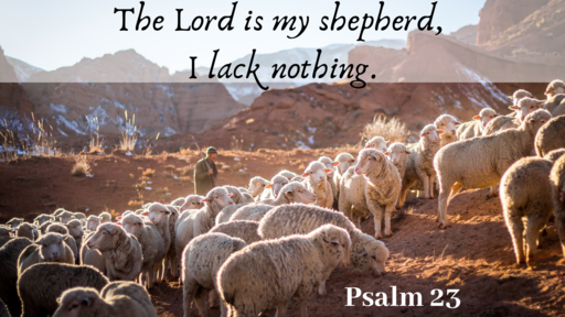 My Shepherd King - Psalm 23 part 1