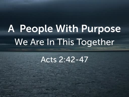 A People With Purpose II