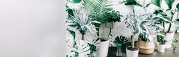 Green and White Tropical Plants  image 2