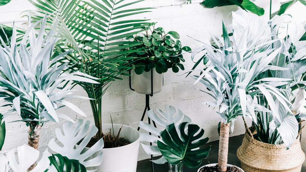 Green and White Tropical Plants large preview