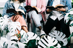 Young Women Reading the Bible Together  image 2