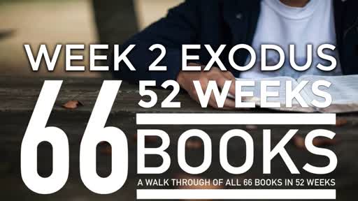 66/52 - Week 2 Exodus