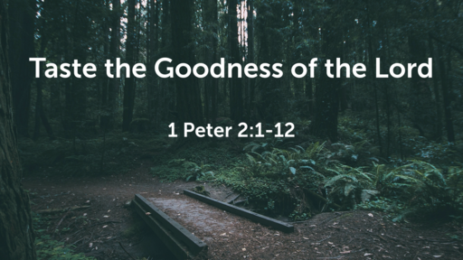 Taste the Goodness of the Lord / 1 Peter 2:1-12