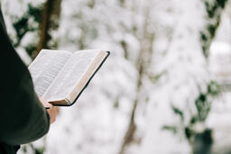 Man Reading the Bible in the Snow  image 1