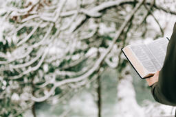 Man Reading the Bible in the Snow  image 1