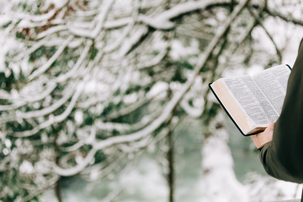 Man Reading the Bible in the Snow large preview