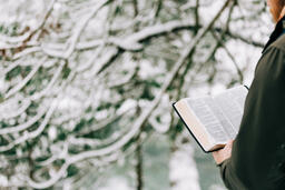 Man Reading the Bible in the Snow  image 3