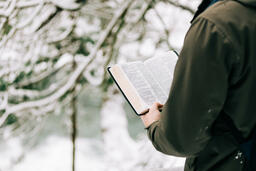 Man Reading the Bible in the Snow  image 2