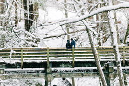 Couple on a Bridge in the Snow  image 3