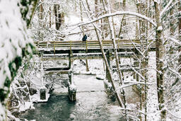 Couple on a Bridge in the Snow  image 2