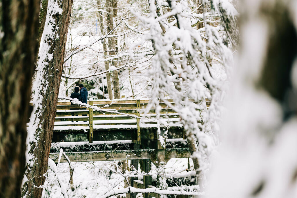 Couple on a Bridge in the Snow large preview