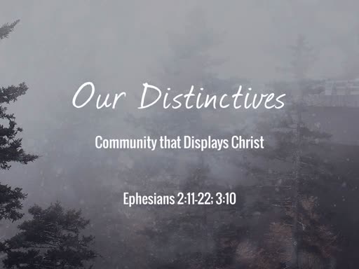 Our Distinctives - Part 2: Community That Displays Christ