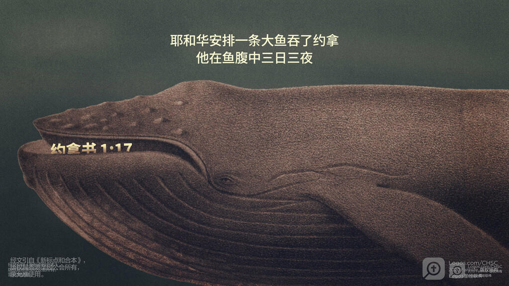约拿书 1：17: 耶和华安排一条大鱼吞了约拿，他在鱼腹中三日三夜。