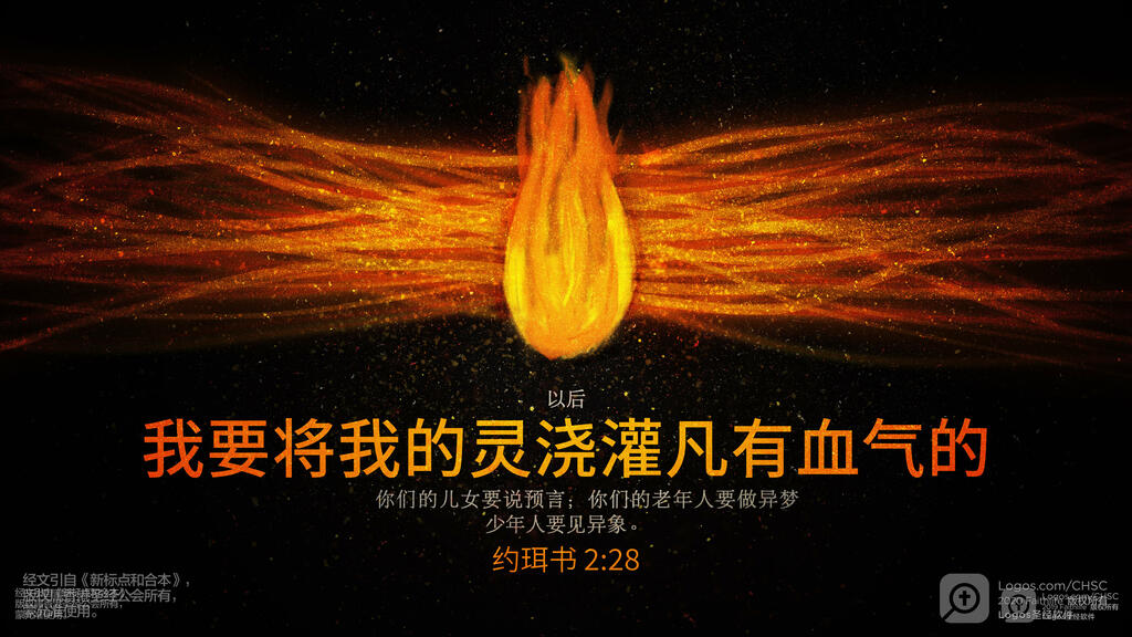 约珥书 2：28: 以后，我要将我的灵浇灌凡有血气的。你们的儿女要说预言；你们的老年人要做异梦，少年人要见异象。