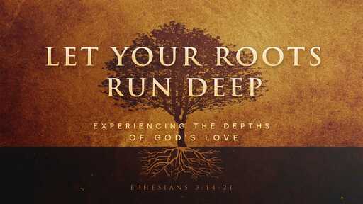 Let Your Roots Run Deep