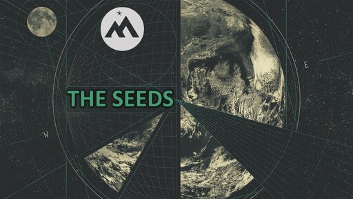 THE SEEDS