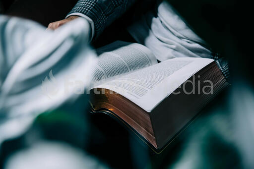 Person Reading the Bible