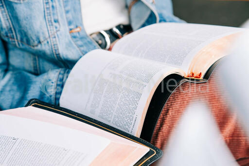 Young Woman Reading the Bible