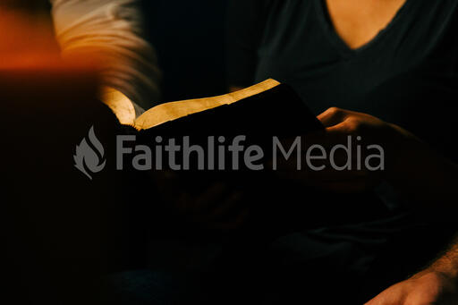 Woman Reading the Bible