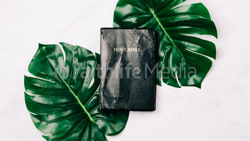 Holy Bible between Tropical Leaves