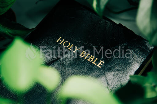 Holy Bible Surrounded by Foliage