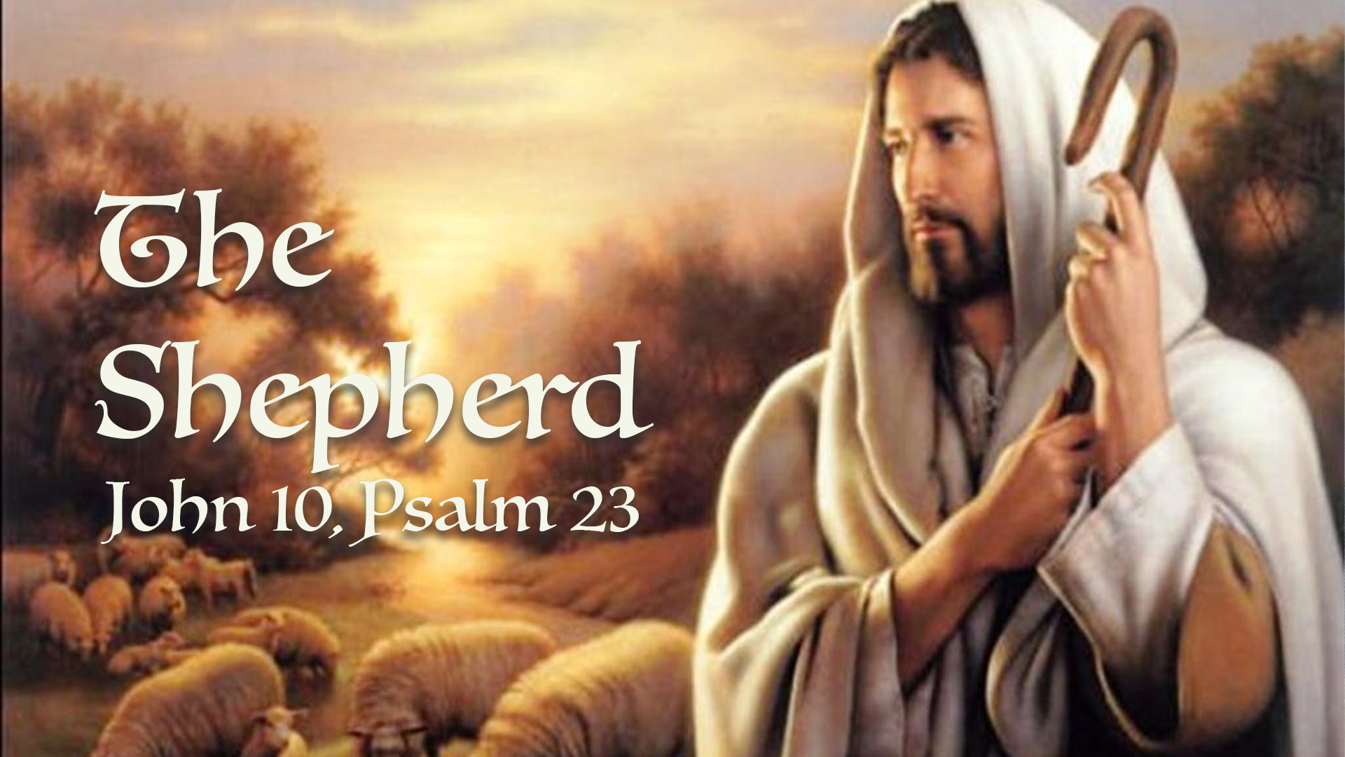 The Shepherd Logos Sermons