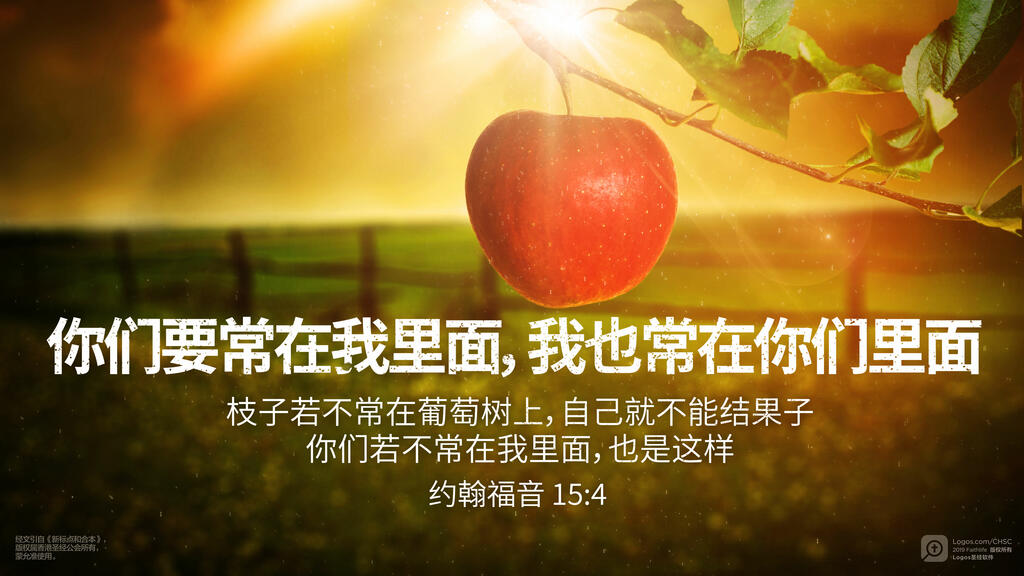 约翰福音 15：4: 你们要常在我里面，我也常在你们里面。枝子若不常在葡萄树上，自己就不能结果子；你们若不常在我里面，也是这样。