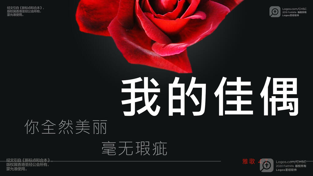 雅歌 4：7: 我的佳偶，你全然美丽，毫无瑕疵！