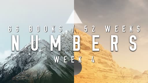 66/52 - Week 4 Numbers