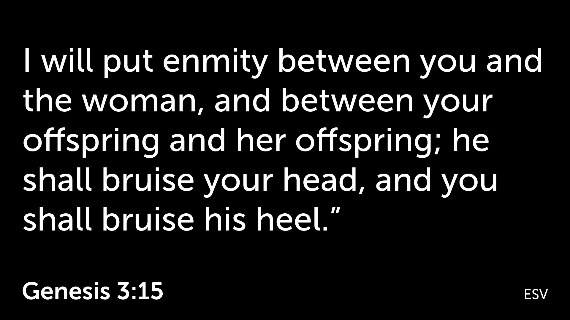 Luke 2 Faithlife Sermons luke-2-1-20-reading-please-subscribe-youtube