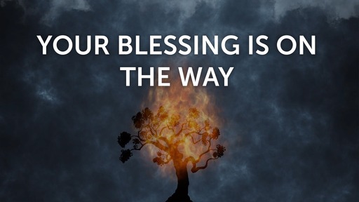 Your blessing is on the way