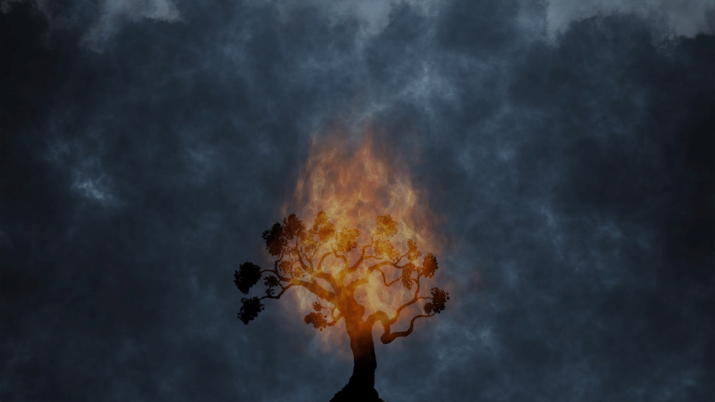 Burning Bush Flame large preview