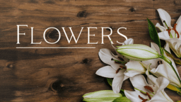 Flowers Donated By  PowerPoint Photoshop image 1