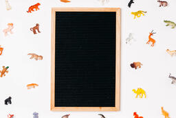 Kids' Ministry Letter Board Surrounded by Toy Animals  image 2