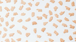 Animal Crackers  image 5