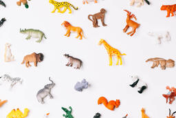 Plastic Animals  image 4