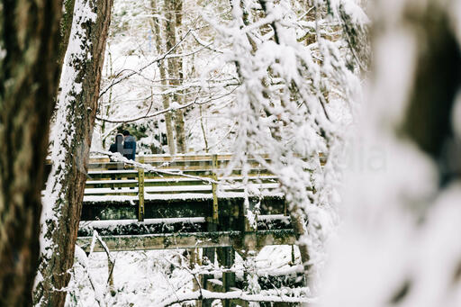 Couple on a Bridge in the Snow
