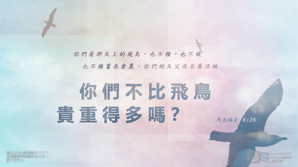 馬太福音 6：28–29: 何必為衣裳憂慮呢？你想野地裏的百合花怎麼長起來；它也不勞苦，也不紡線。然而我告訴你們，就是所羅門極榮華的時候，他所穿戴的，還不如這花一朵呢！