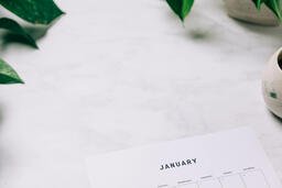 Printed January Calendar  image 1