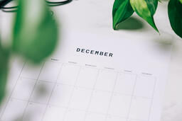 Printed Calendar Behind Greenery  image 17
