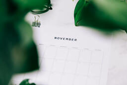 Printed Calendar Behind Greenery  image 10