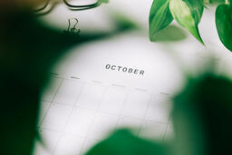 Printed Calendar Behind Greenery  image 18