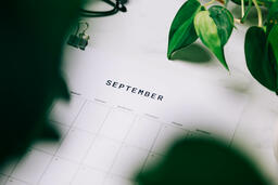 Printed Calendar Behind Greenery  image 4
