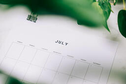 Printed Calendar Behind Greenery  image 28