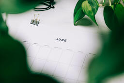 Printed Calendar Behind Greenery  image 26