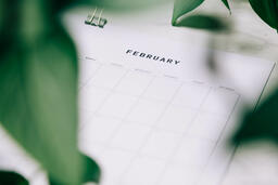 Printed Calendar Behind Greenery  image 21