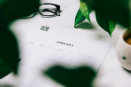 Printed Calendar Behind Greenery  image 3
