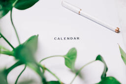 Printed Calendar Behind Greenery  image 27