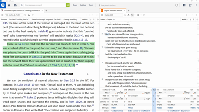 Interpreting the Use of the Pual