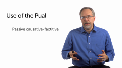 Meaning Nuances of the Pual